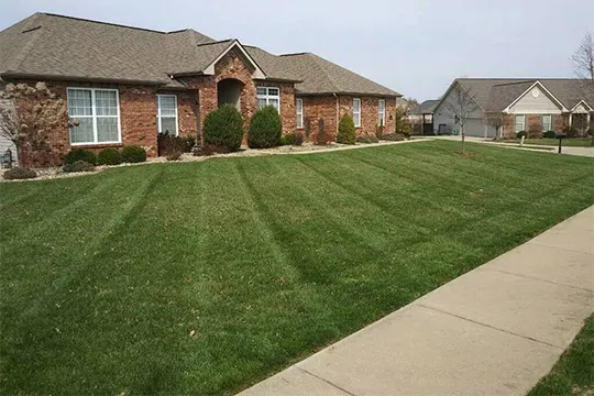 lawn service belleville il