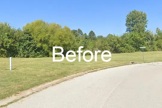 before forest mulch belleville il