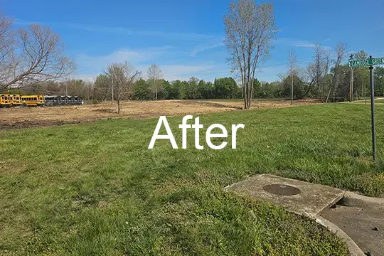 after forest mulch belleville il